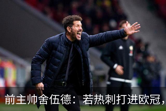 前主帅舍伍德：若热刺打进欧冠，不排除凯恩回归的可能