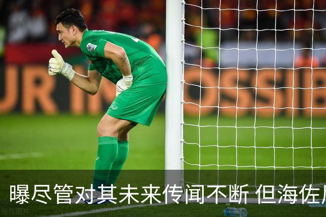 曝尽管对其未来传闻不断 但海佐尼亚下一站仍将加盟NBA球队