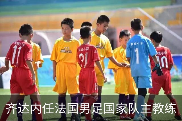 齐达内任法国男足国家队主教练